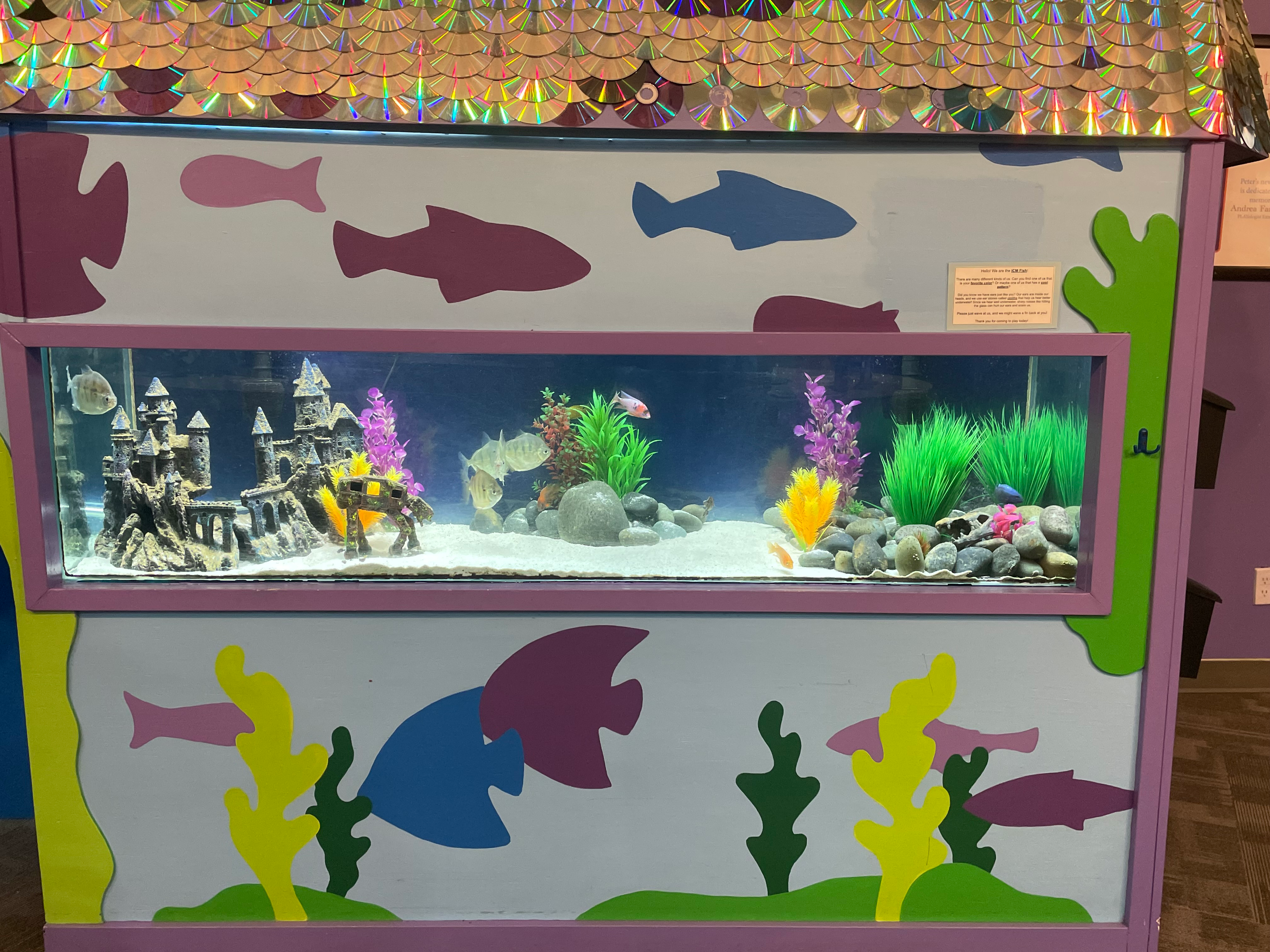 Children's Museum